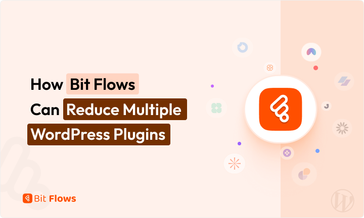 How Bit Flows Can Reduce Multiple WordPress Plugins
