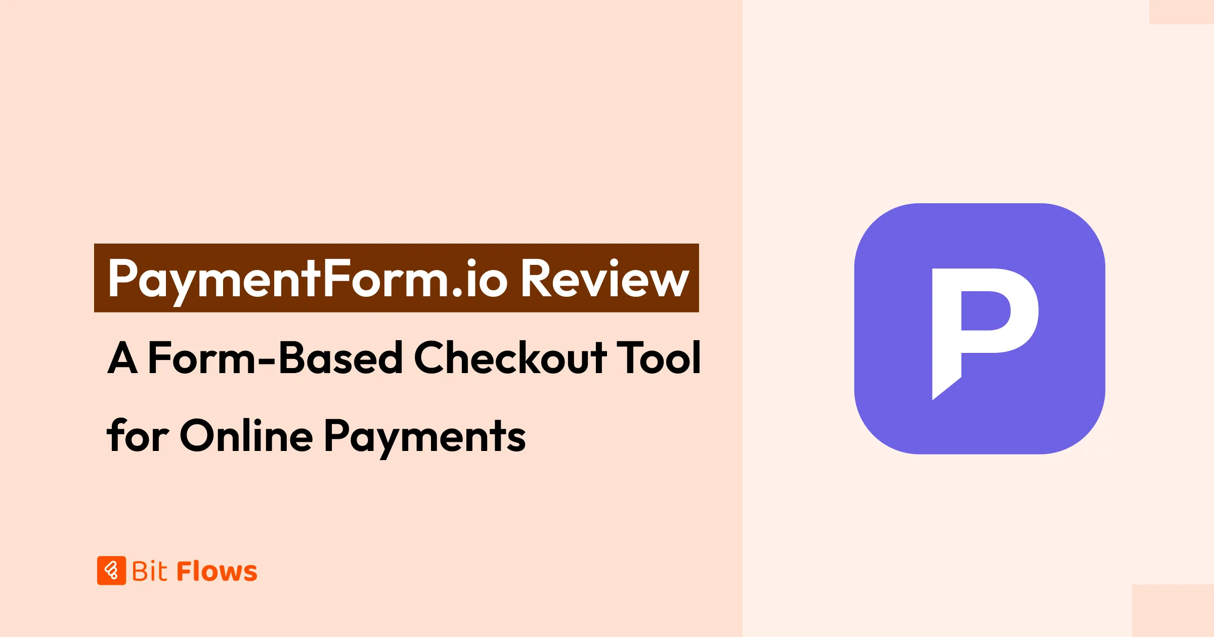 PaymentForm.io review showing a form-based checkout tool for collecting online payments