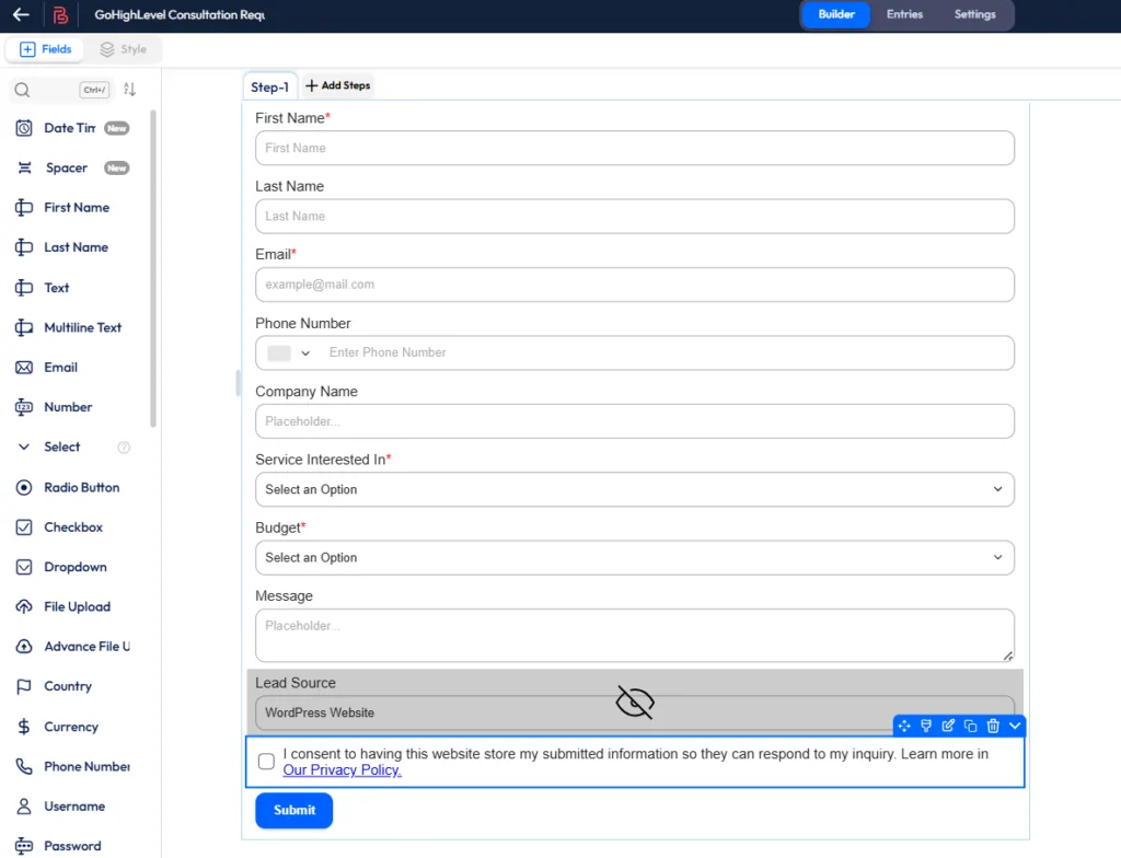 Bit Form builder displaying a GoHighLevel consultation lead form, featuring configured fields for contact details, service interest, budget, and a hidden lead source field to track WordPress website submissions.